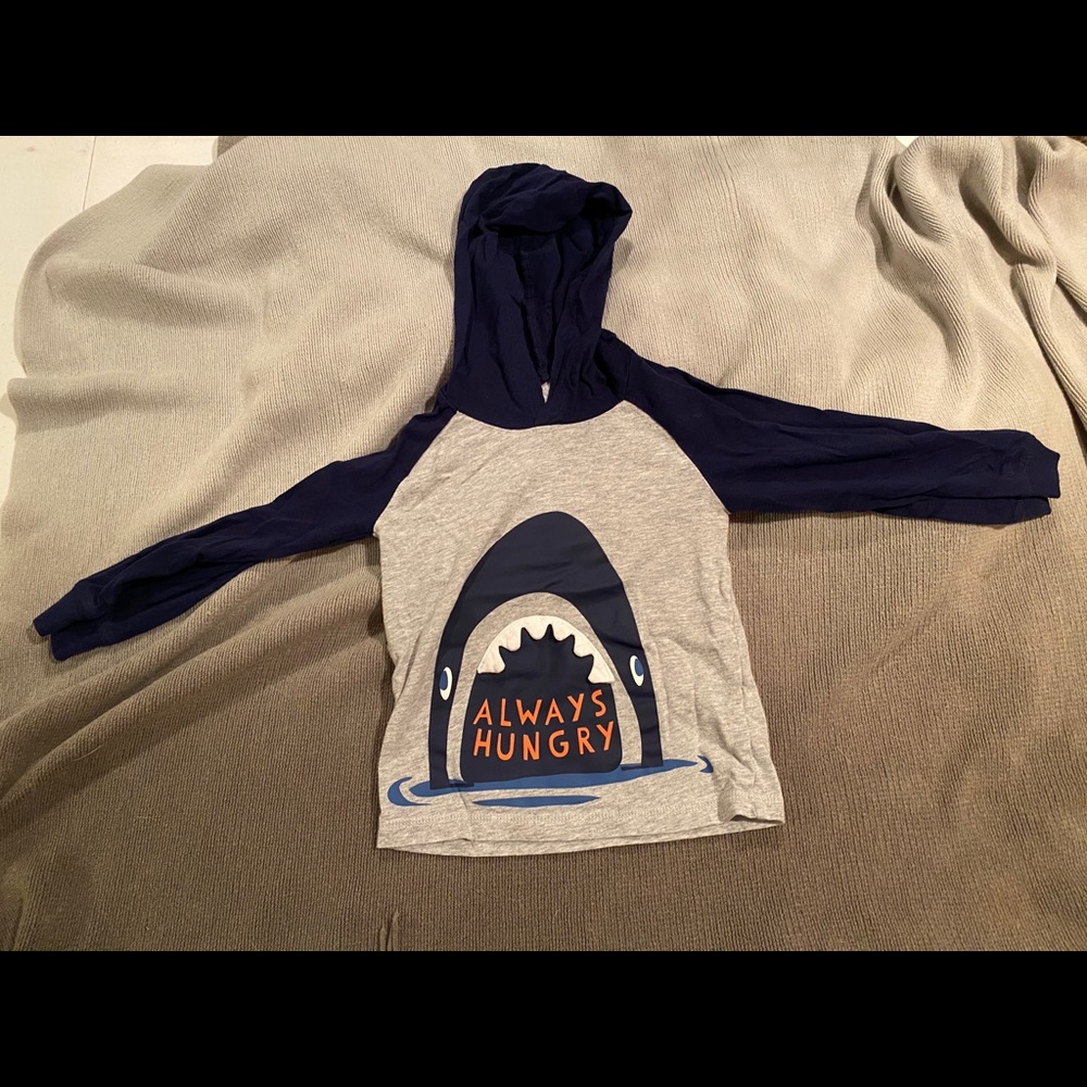 Adorable boys hooded top for fall!